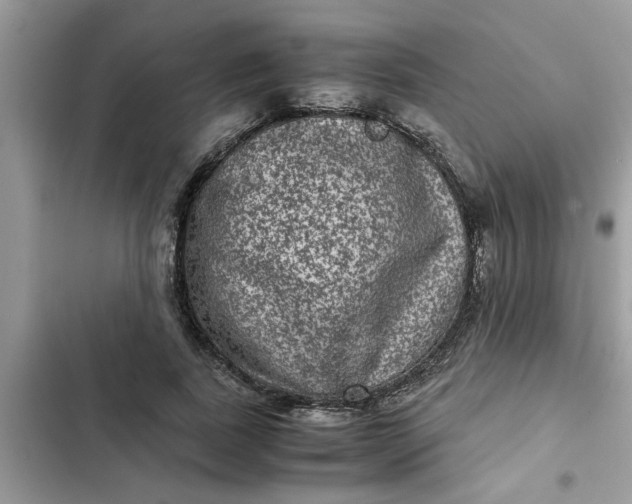 X0000102340739200808151727