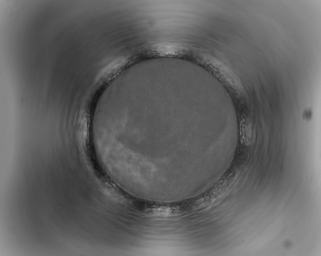 X0000102340740200808151727