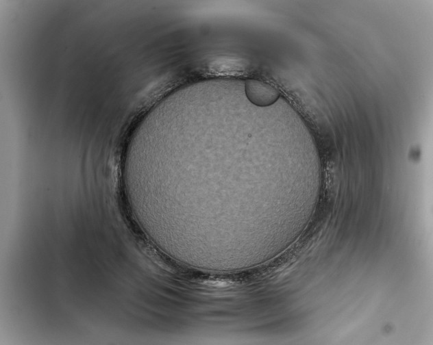 X0000102340741200808151727