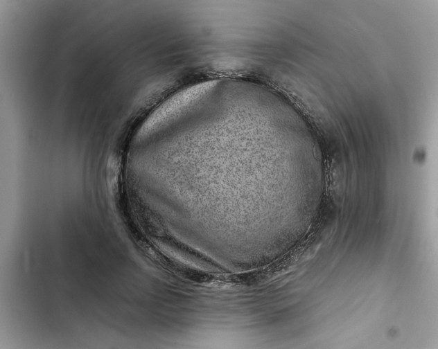 X0000102340742200808151727