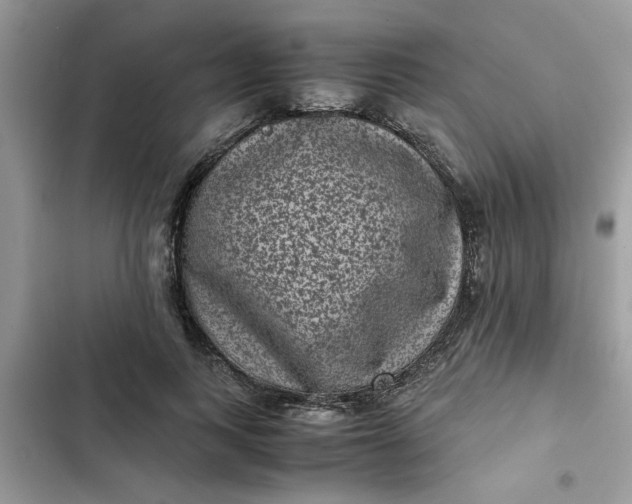 X0000102340743200808151727