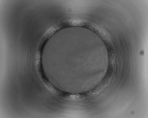 X0000102340744200808151727