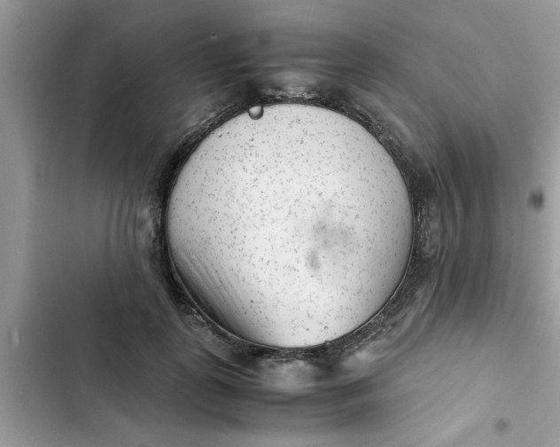 X0000102340747200808151727