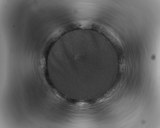 X0000102340748200808151727