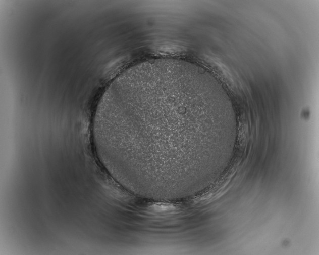 X0000102340749200808151727