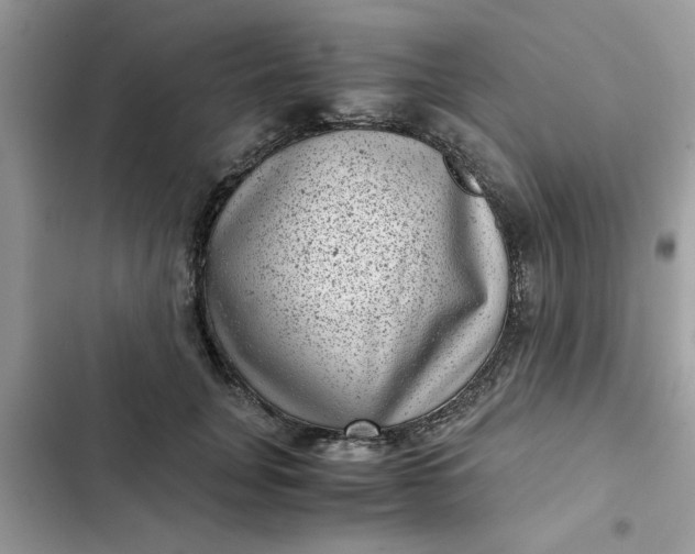 X0000102340751200808151727