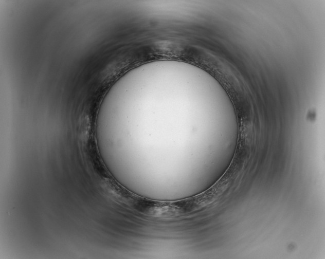 X0000102340752200808151727