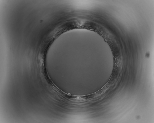 X0000102340754200808151727