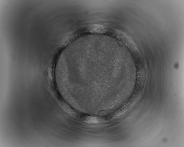 X0000102340755200808151727