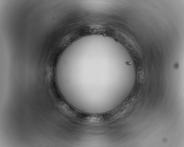 X0000102340756200808151728