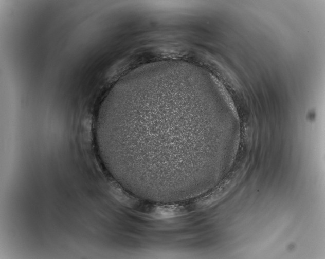 X0000102340757200808151728