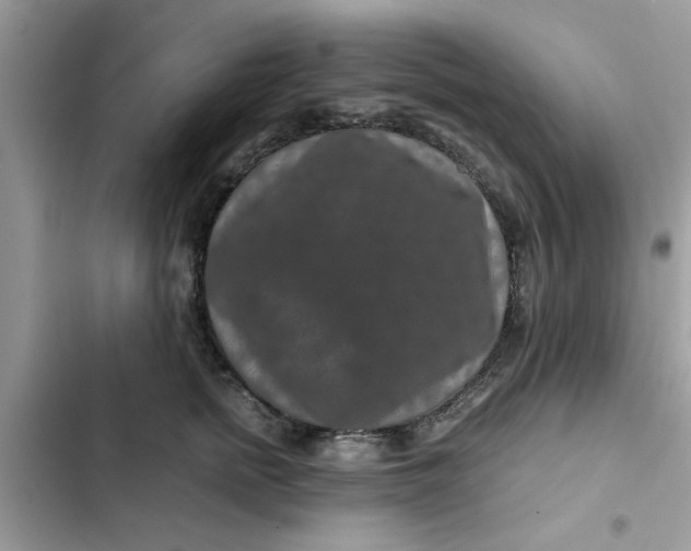 X0000102340758200808151728