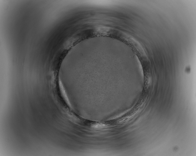 X0000102340759200808151728