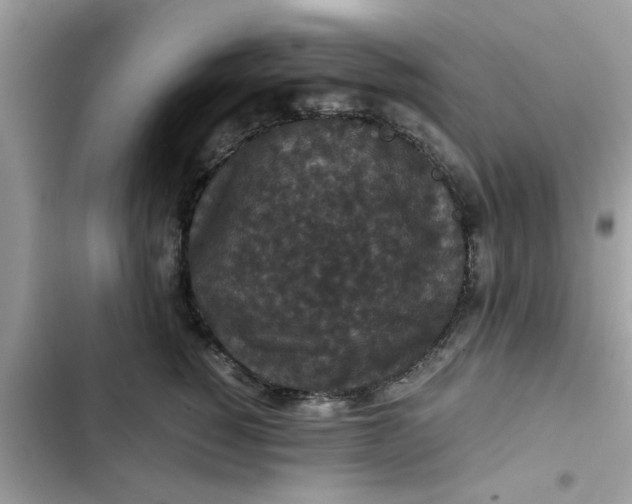 X0000102340760200808151728