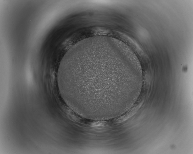 X0000102340761200808151728