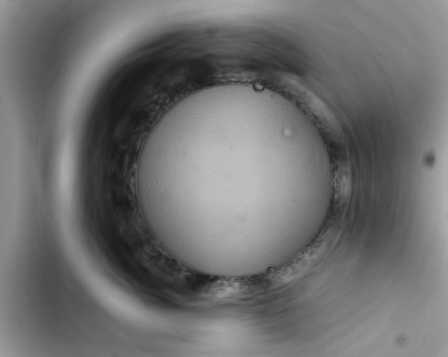 X0000102340764200808151728