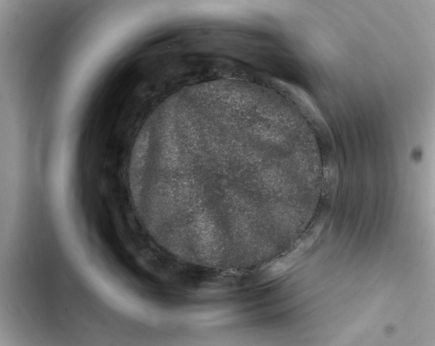 X0000102340765200808151728