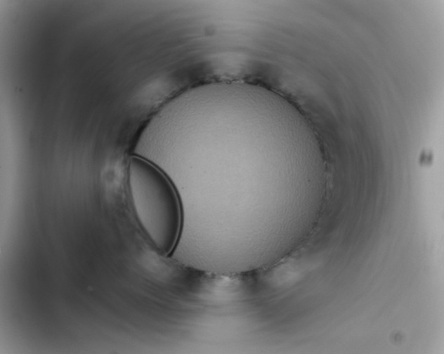 X0000102340768200808151728