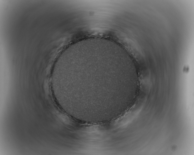 X0000102340769200808151727