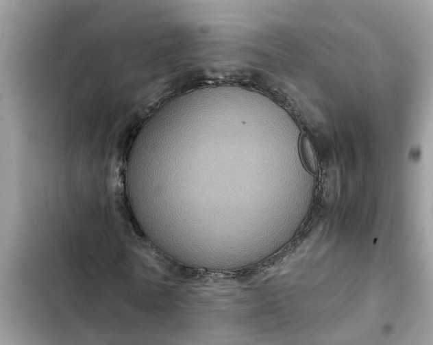 X0000102340770200808151727