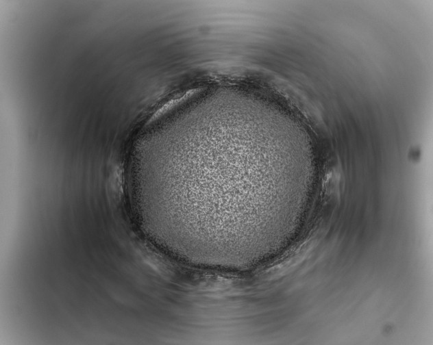 X0000102340772200808151727