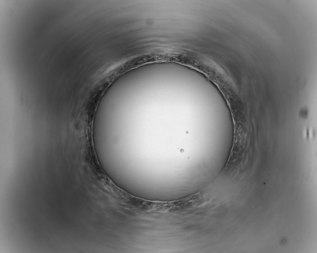 X0000102340773200808151727