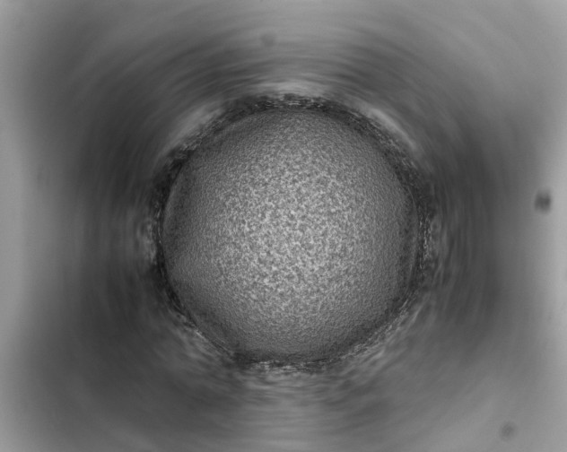 X0000102340774200808151727