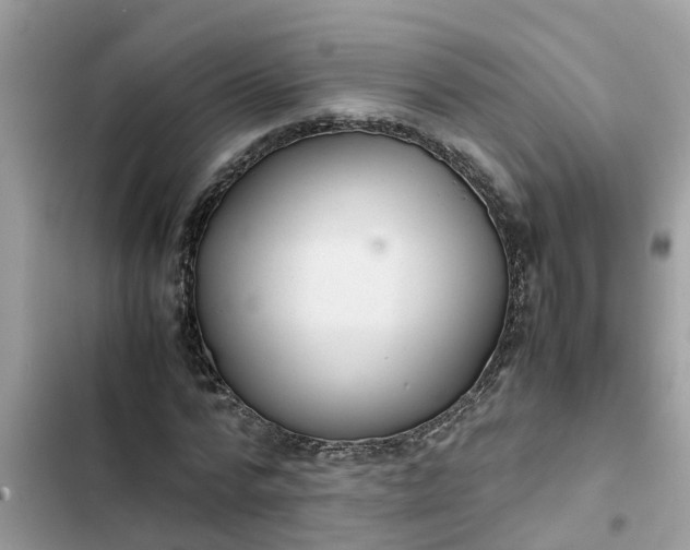 X0000102340776200808151727