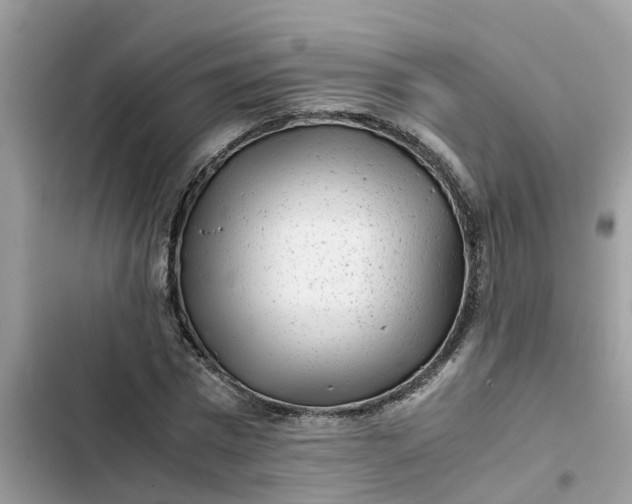 X0000102340777200808151727