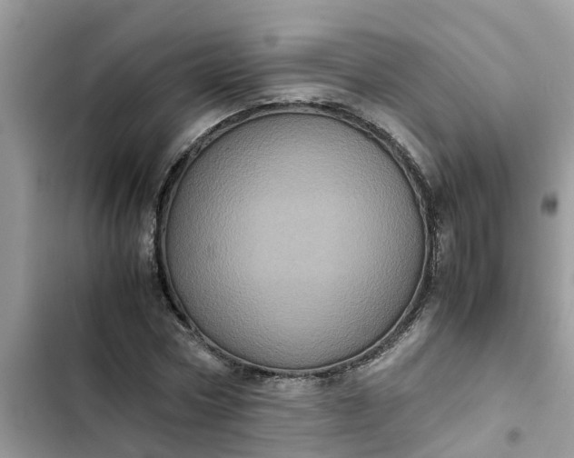 X0000102340778200808151727