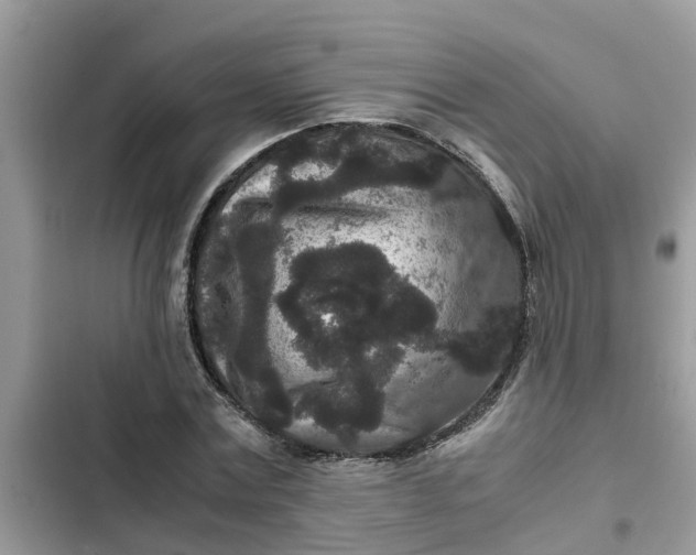 X0000102340779200808151727