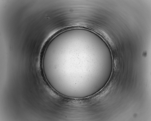 X0000102340780200808151727