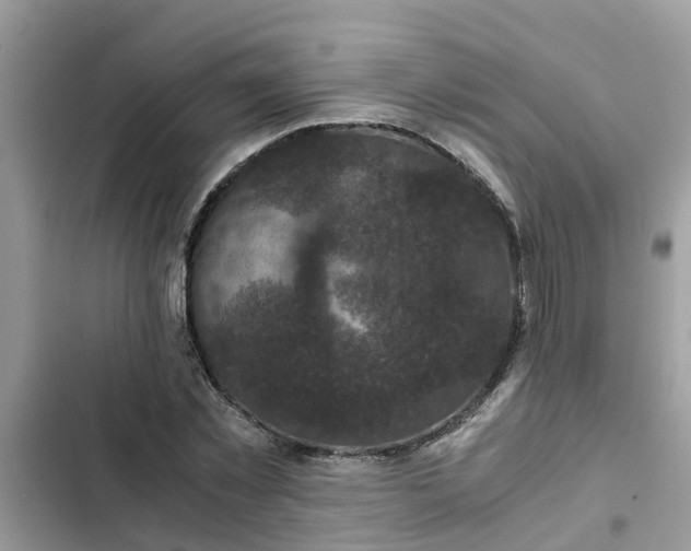 X0000102340781200808151727