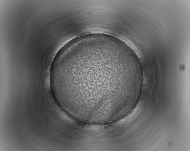 X0000102340782200808151727