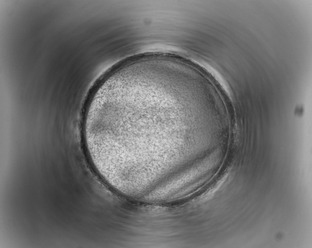 X0000102340783200808151727