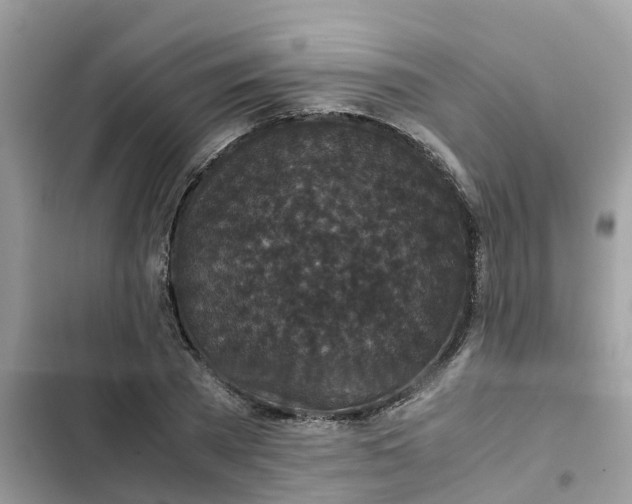 X0000102340785200808151727