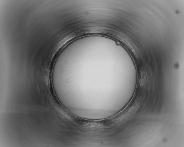 X0000102340786200808151727