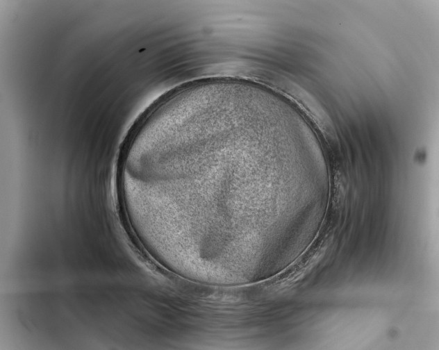 X0000102340788200808151727