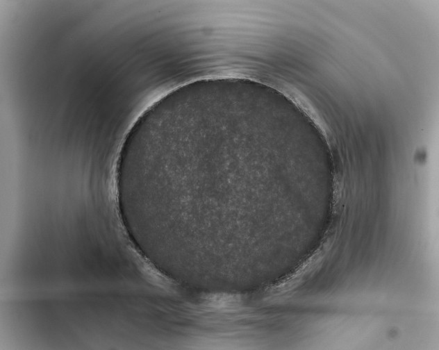 X0000102340789200808151727