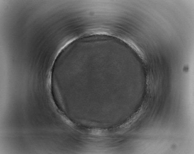 X0000102340790200808151727