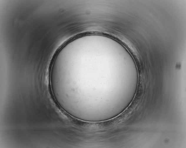 X0000102340791200808151727