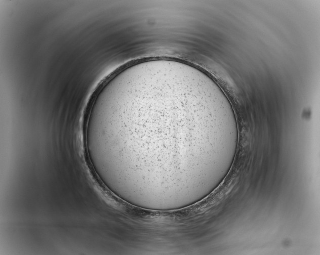 X0000102340792200808151727