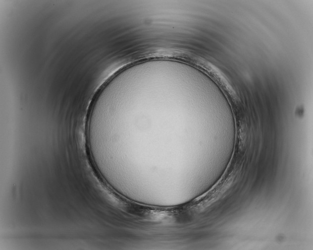 X0000102340794200808151727