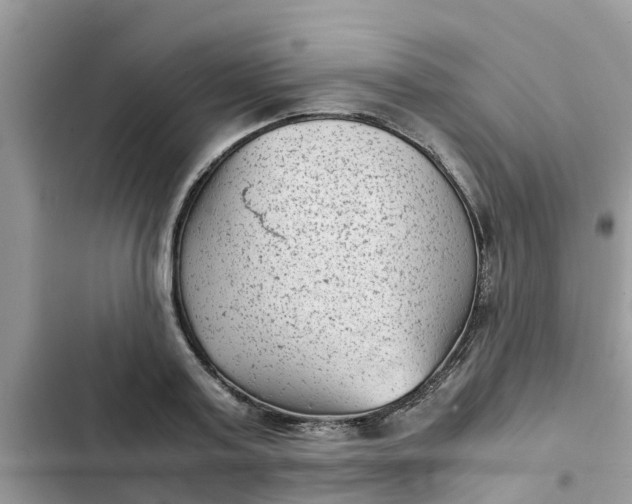 X0000102340795200808151727