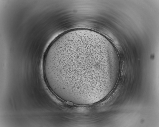 X0000102340796200808151727