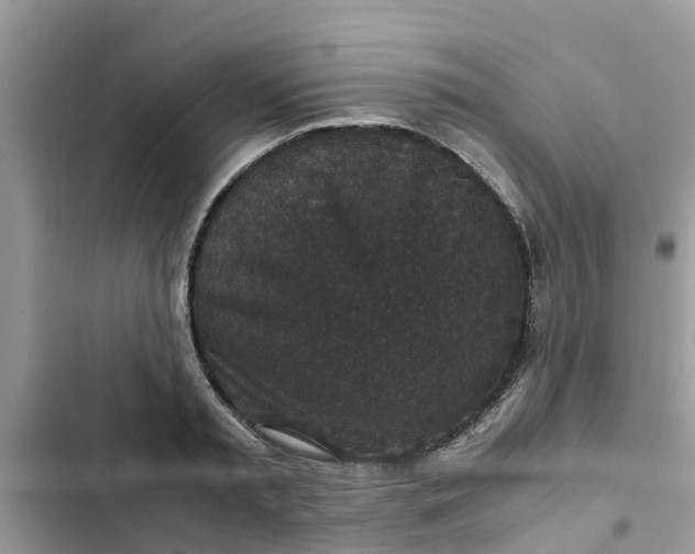 X0000102340797200808151727