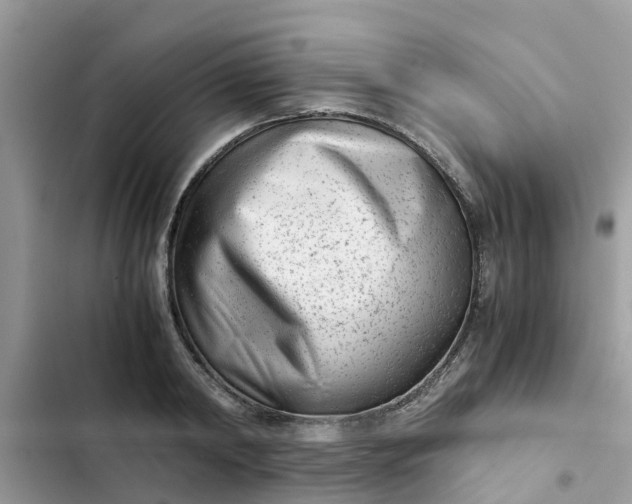 X0000102340798200808151727