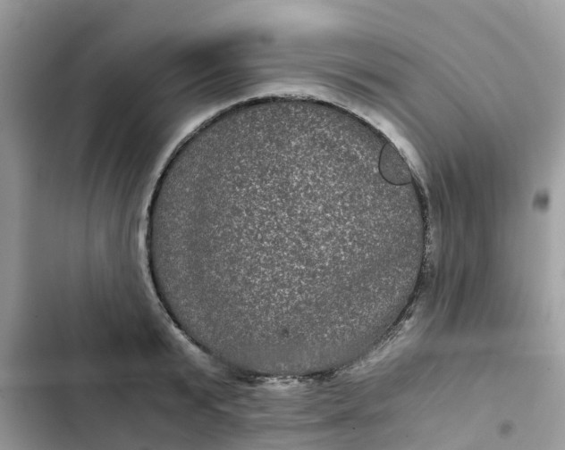 X0000102340799200808151727