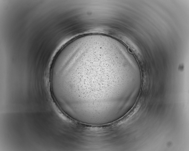 X0000102340800200808151727