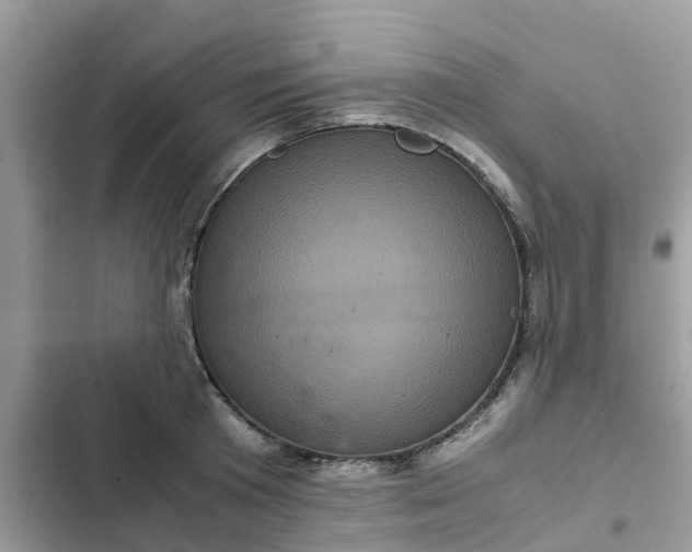 X0000102340801200808151727